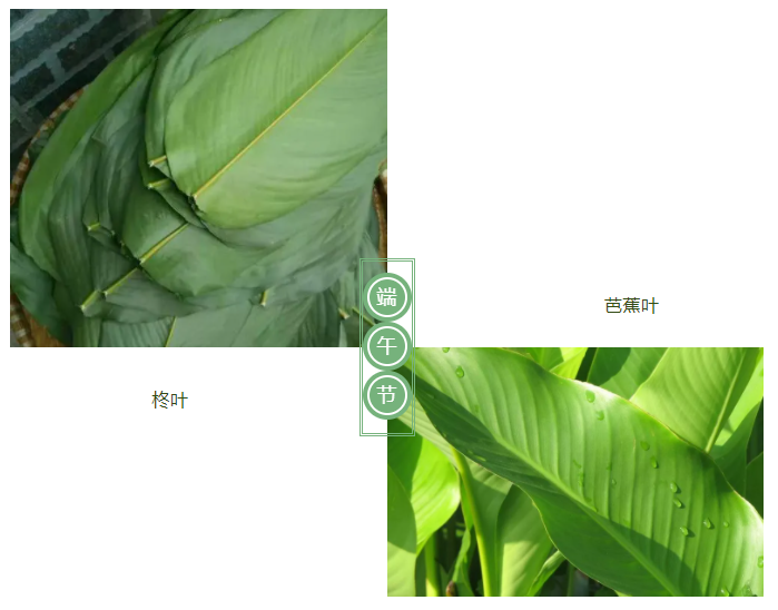 威廉希尔·williamhill医纺